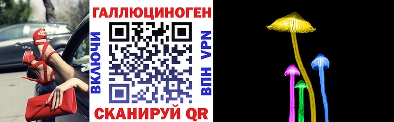 Псилоцибиновые грибы мицелий Магадан