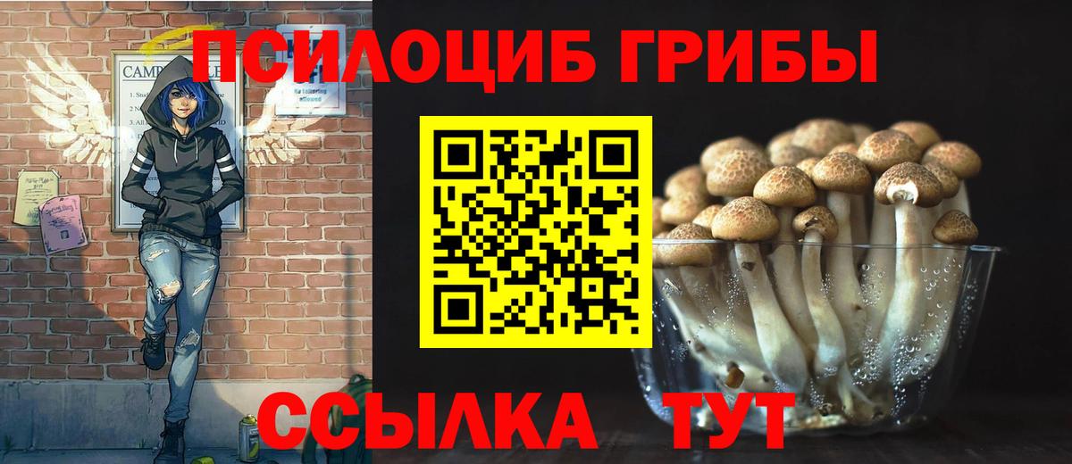 Галлюциногенные грибы GOLDEN TEACHER Магадан