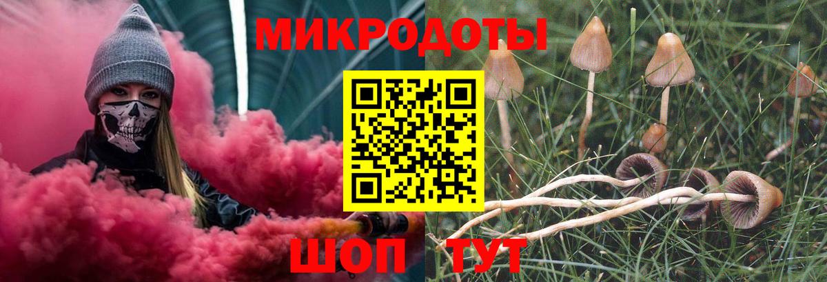Псилоцибиновые грибы GOLDEN TEACHER  Вход с VPN  Магадан 
